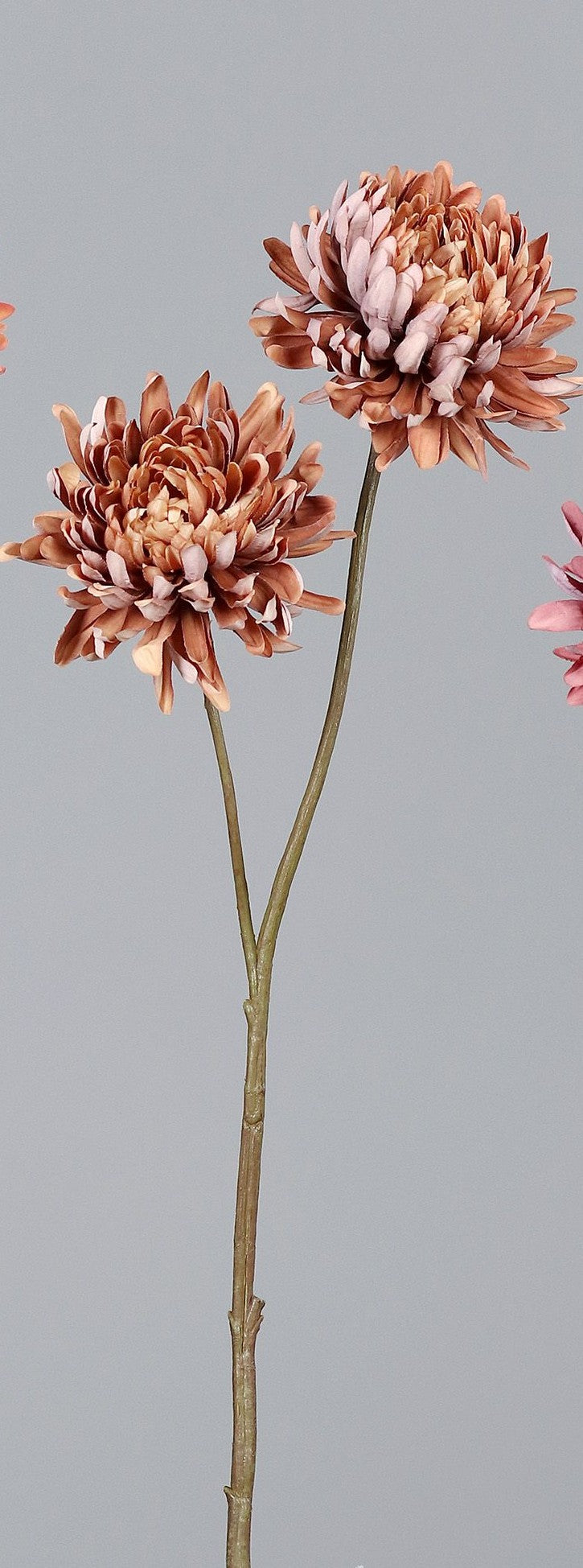 Künstliche Chrysantheme – 65 cm
