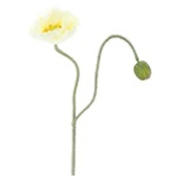 Mohnblüte Cream