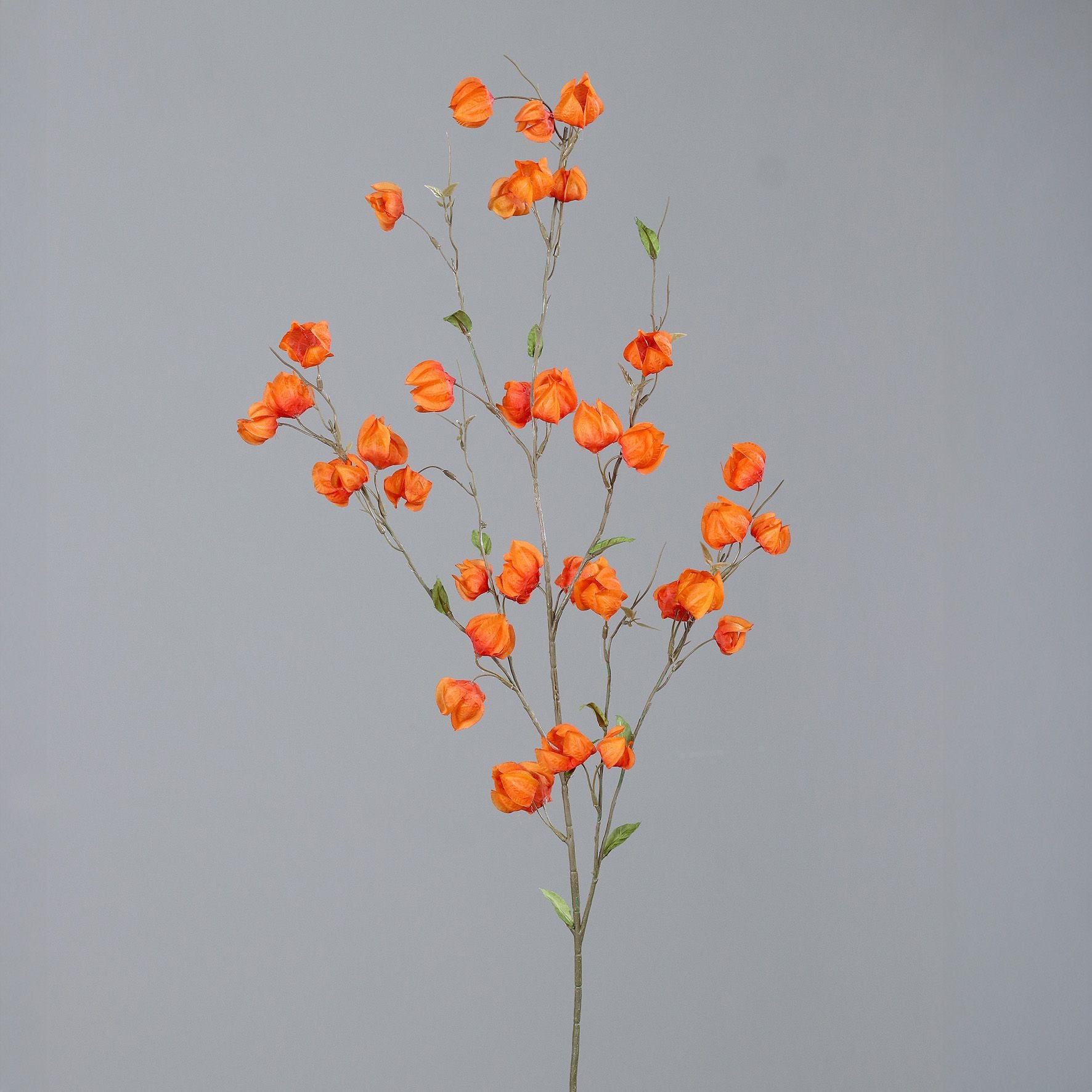 Künstlicher Physalis-Zweig – 114 cm