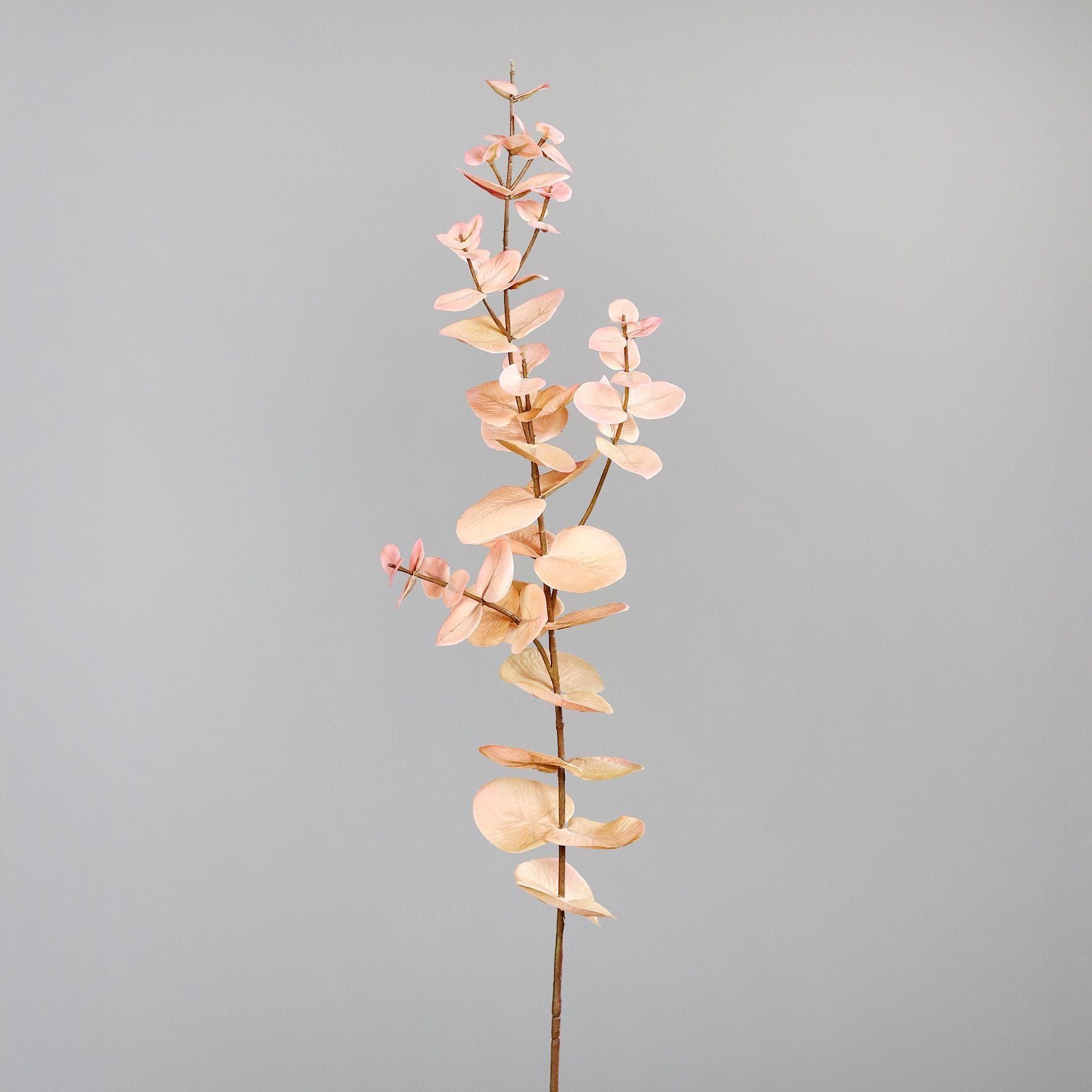 Künstlicher Eukalyptus-Zweig in Peach – 75 cm